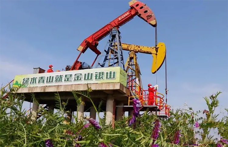 1714963231736690.jpg 8.jpg