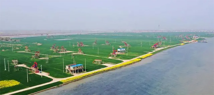 1714963251352172.jpg 9.jpg