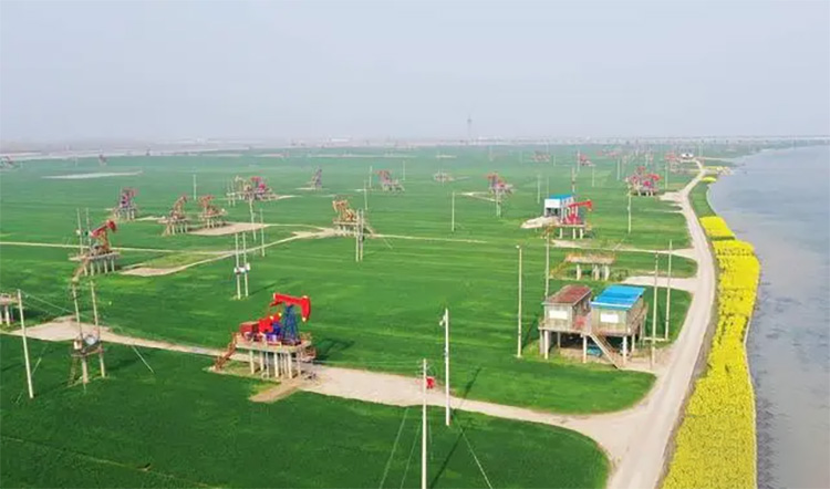 1714963273283756.jpg 10.jpg