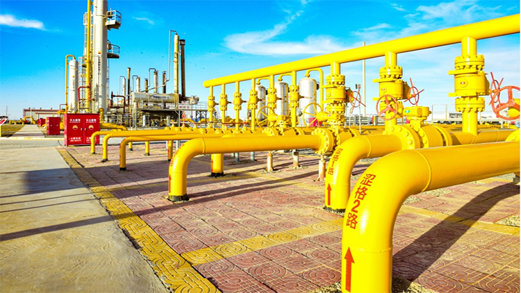 1718261341437081.jpg 1.jpg