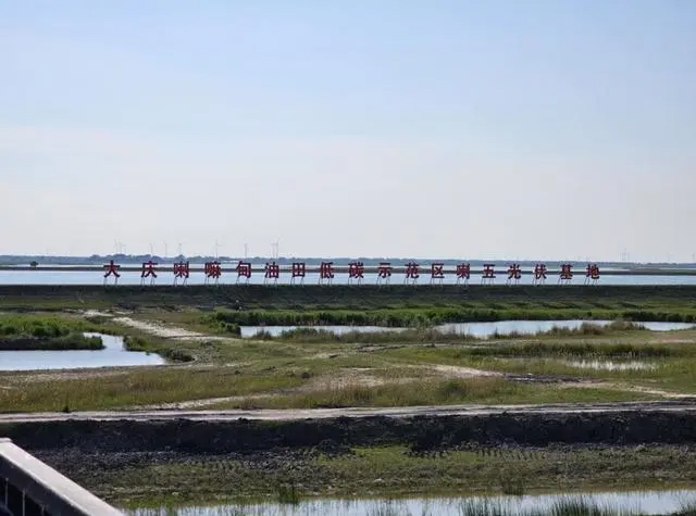 1718681561114079.jpg 2.jpg