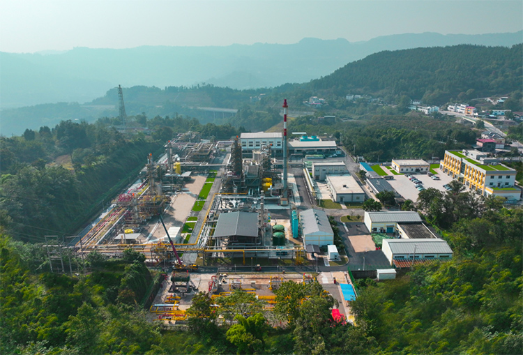 1718952264251253.jpg 6.jpg