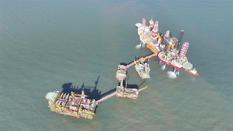 1719191893889308.jpg 3.jpg