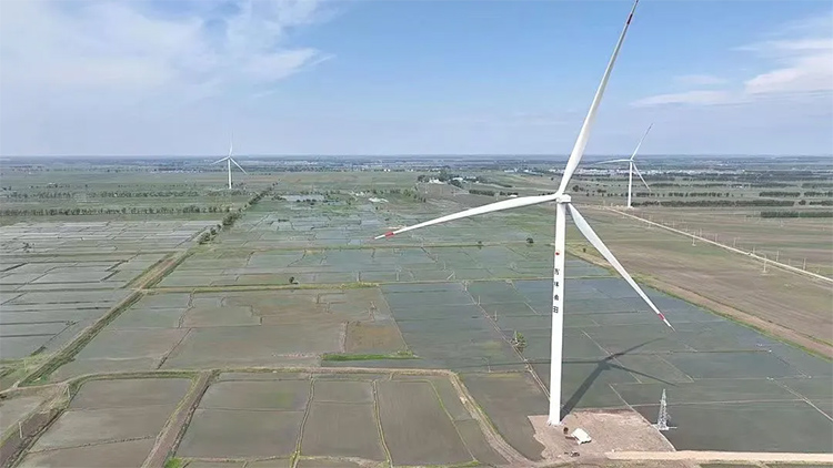 1719388327300985.jpg 6.jpg