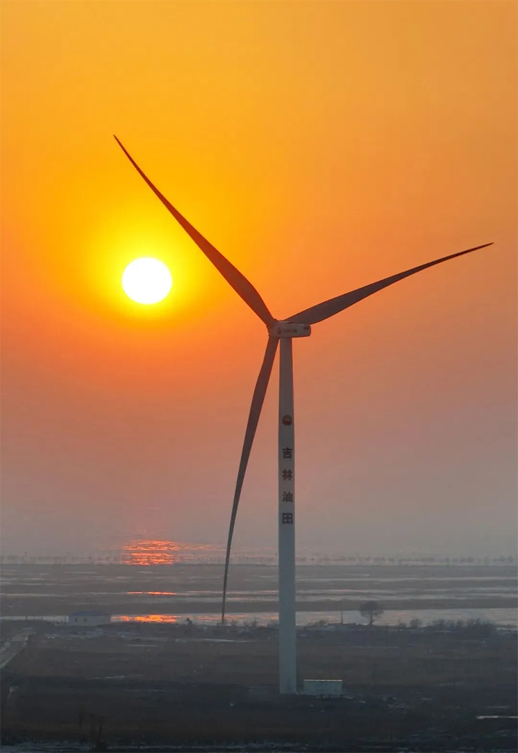 1719388346639732.jpg 7.jpg